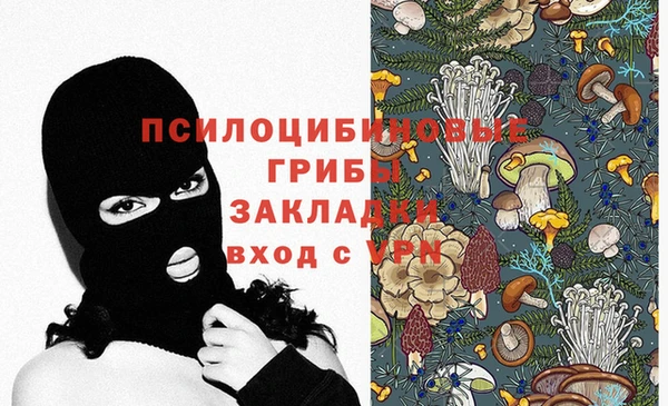 гидра Алексеевка