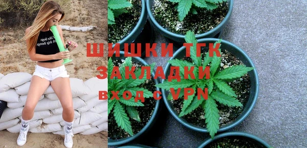 гидра Алексеевка