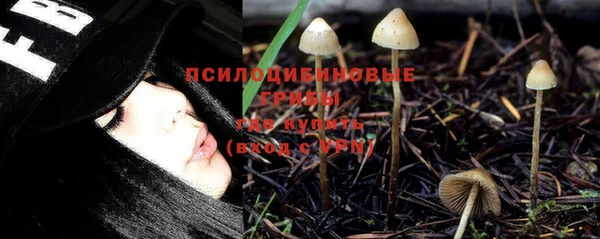 каннабис Алексин
