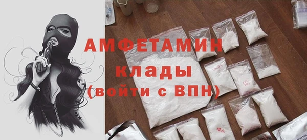 гидра Алексеевка