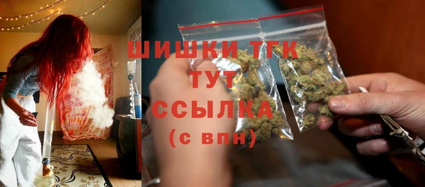 гидра Алексеевка