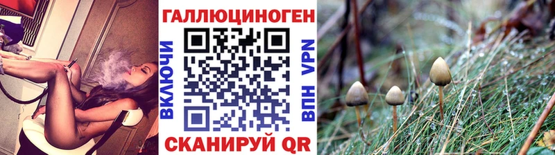 Галлюциногенные грибы Psilocybe Карабулак
